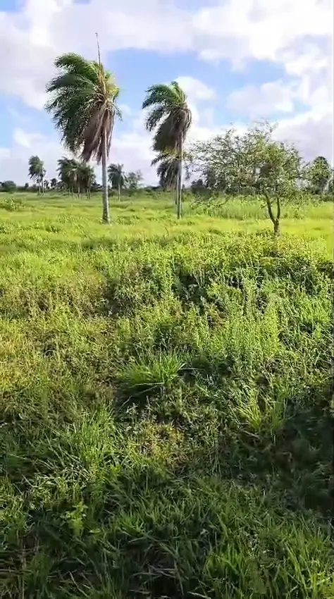Foto 2 de Ciudad De Dios