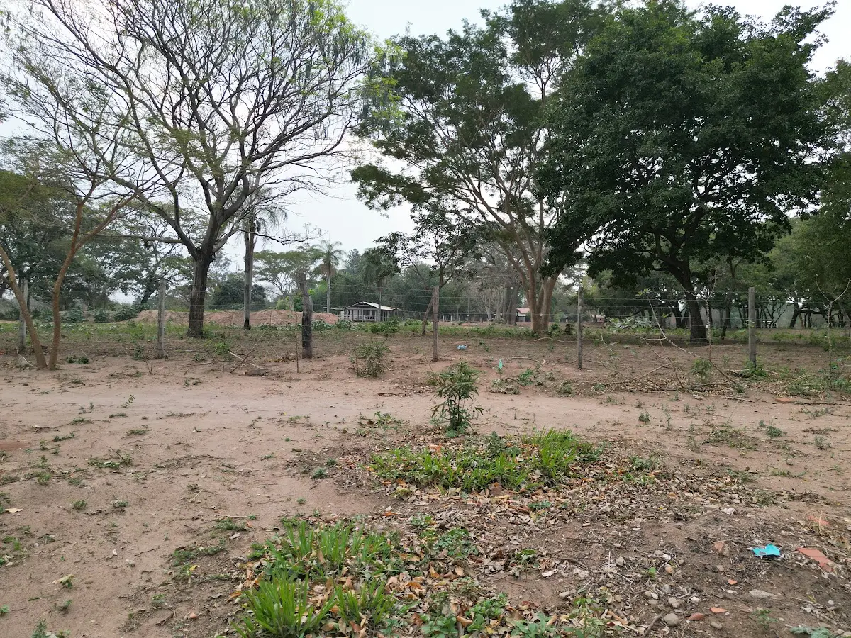 Foto 3 de Propiedad Agricola - Cotoca Tajibo