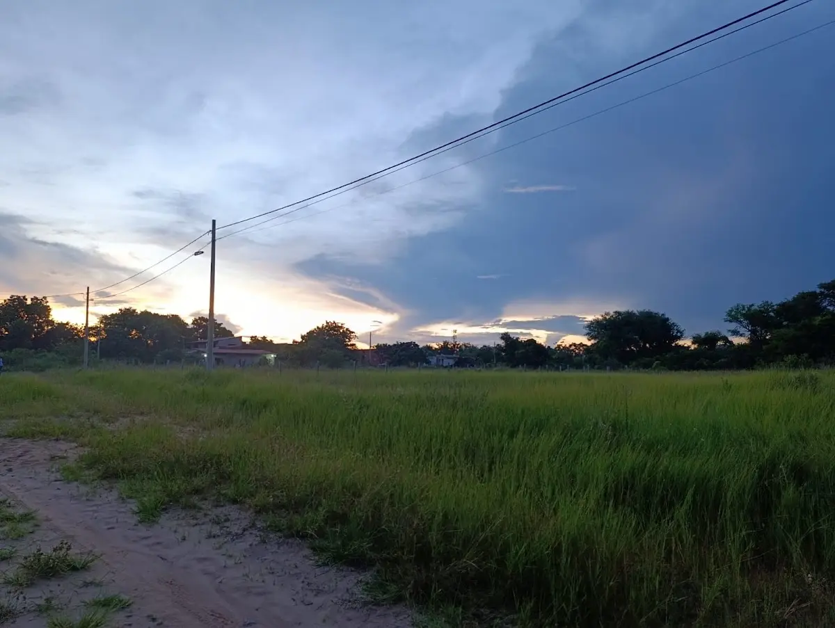 Tavaguasu