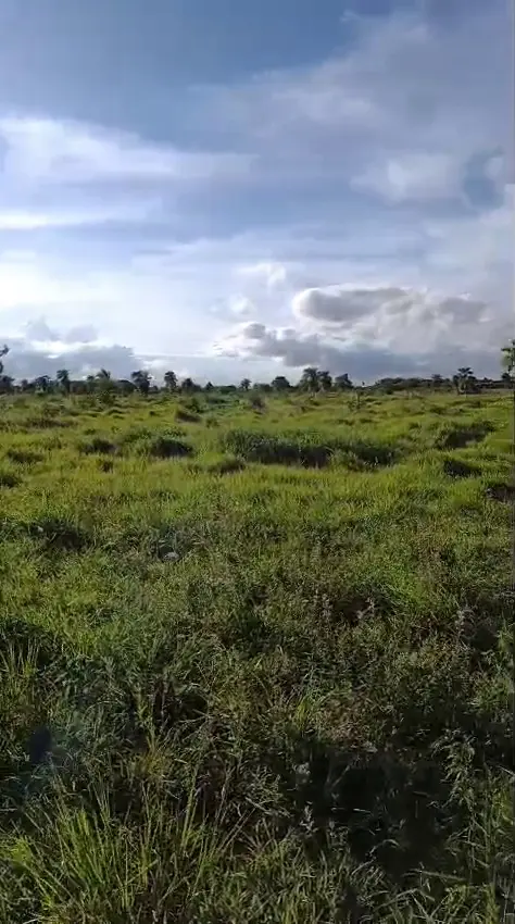 Ciudad De Dios
