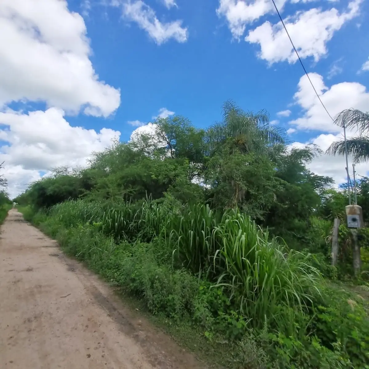 Pentaguazu 2