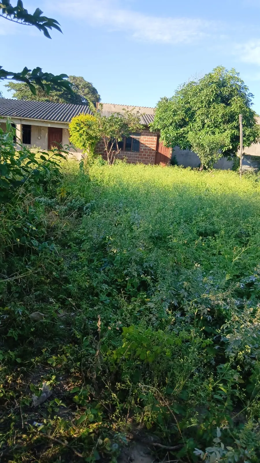 Foto 4 de Terreno En Normandia