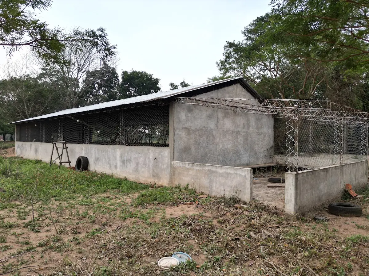 Foto 4 de Propiedad Agricola - Cotoca Tajibo