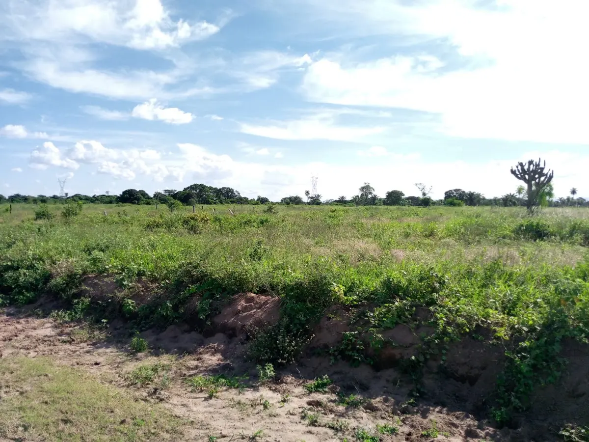 Foto 4 de Terreno En Ebenezer - Norte Ii Suprf. 432,62m2