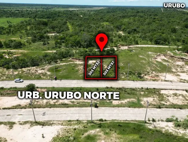 2 Terrenos Sobre Avenida De 303 M2